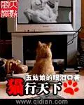 李若雪周天最豪赘婿